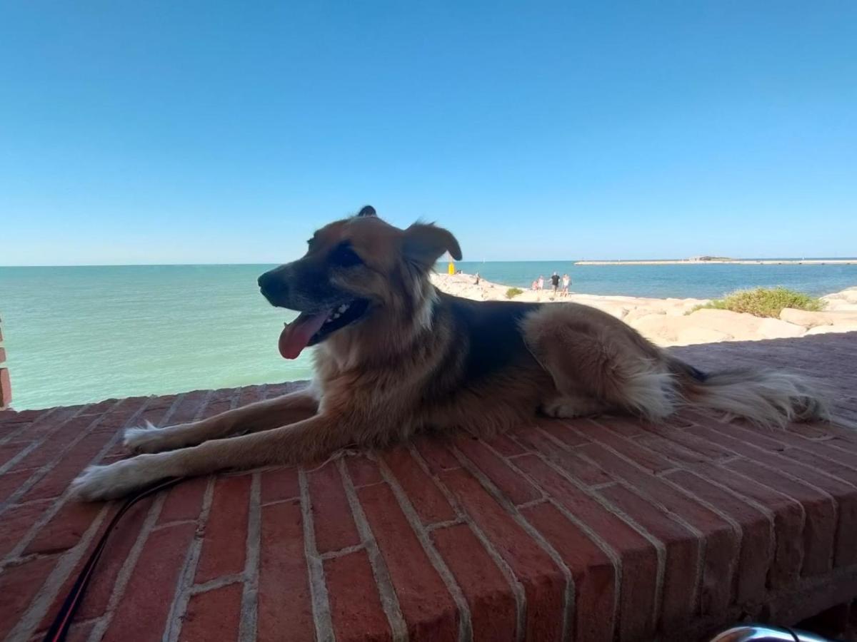 Suite Frida Rimini Dış mekan fotoğraf